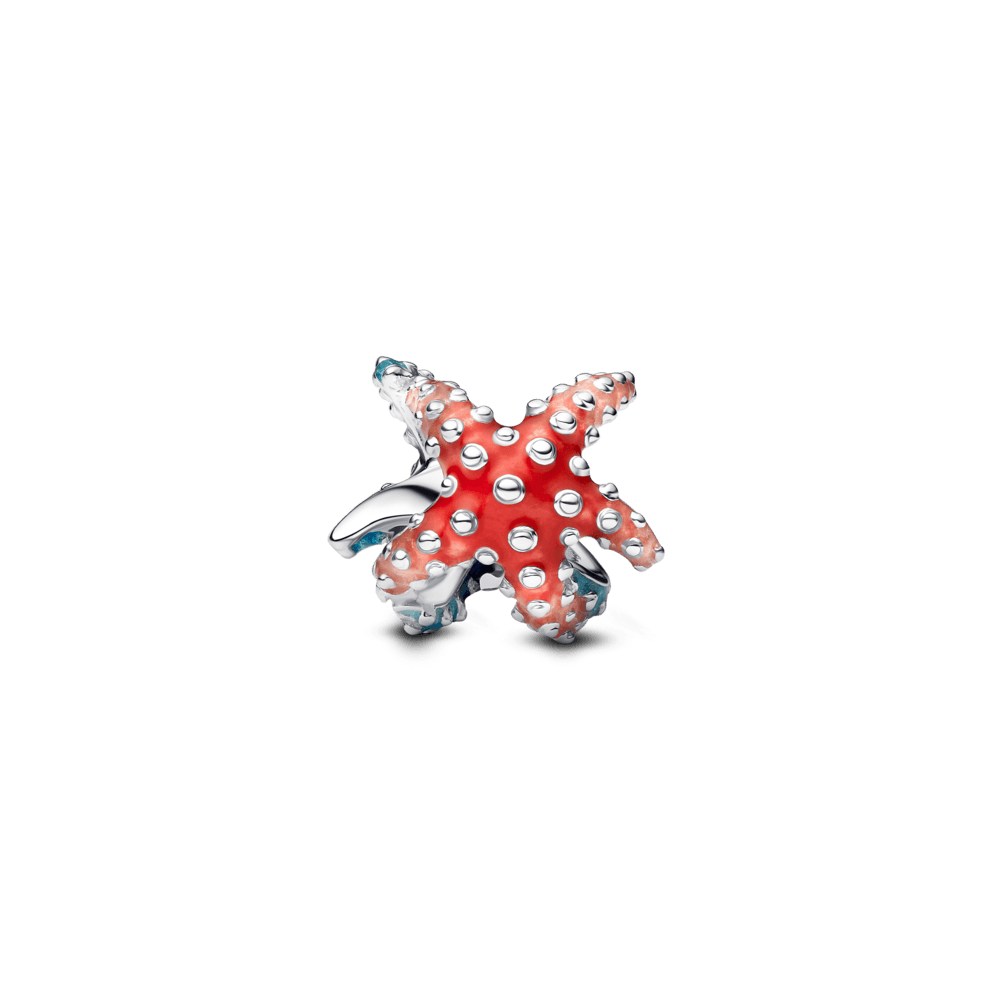 Mini Charm Estrella de Mar Colorida - Charms Factory