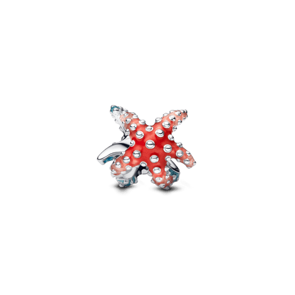 Mini Charm Estrella de Mar Colorida - Charms Factory